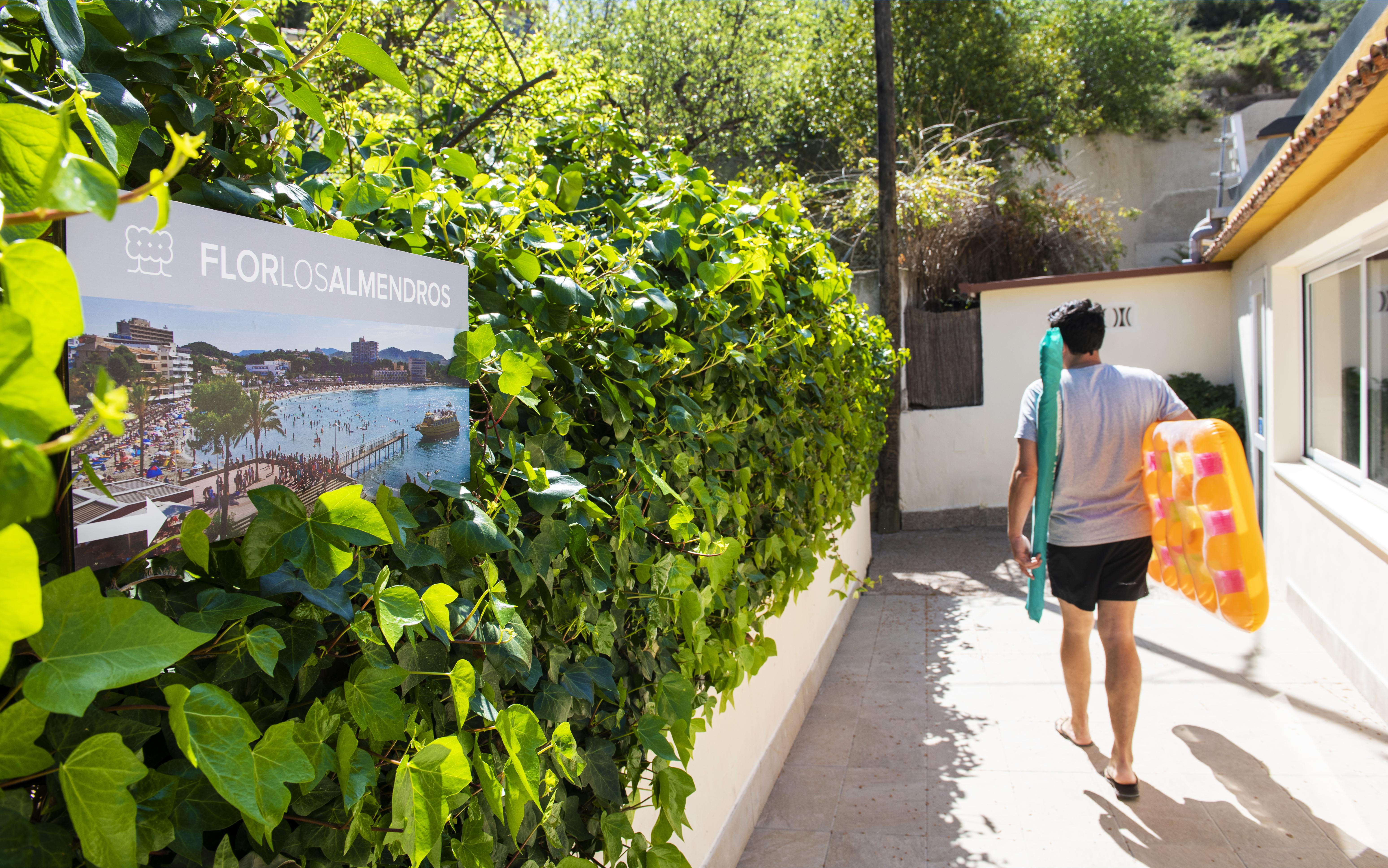 Flor Los Almendros Hotel Παγκουέρα Εξωτερικό φωτογραφία